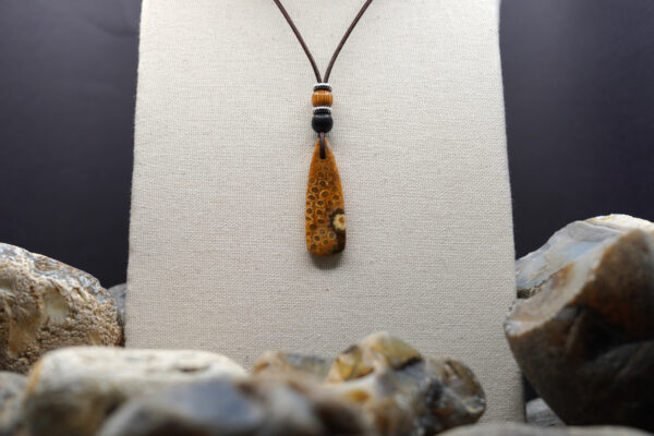 Indonesian Agatized Coral necklace IAC-131 — necklace on display