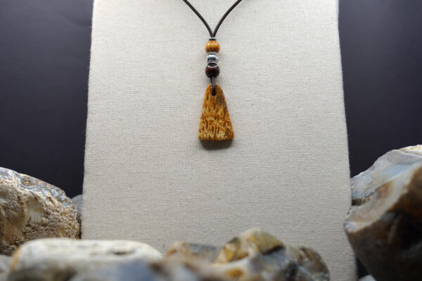 Indonesian Agatized Coral necklace IAC-132 — necklace on display