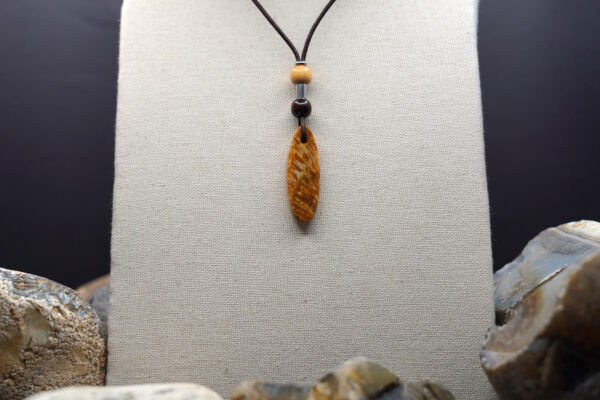 Indonesian Agatized Coral necklace IAC-134 — necklace on display